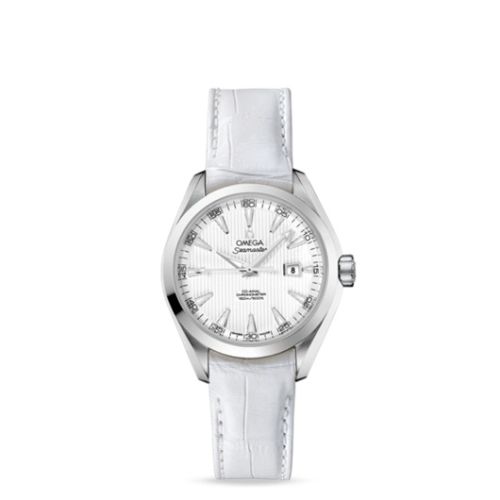 Omega Seamaster Aqua Terra 150M Co-Axial 34 Stainless Steel / Silver